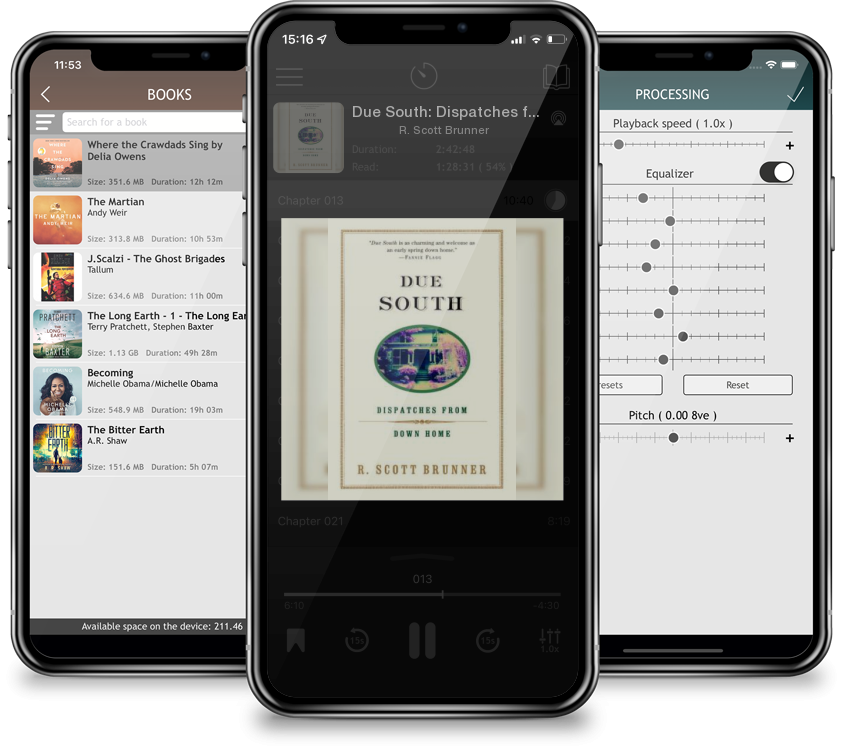 Audiobook Due South: Dispatches from Down Home by R. Scott Brunner