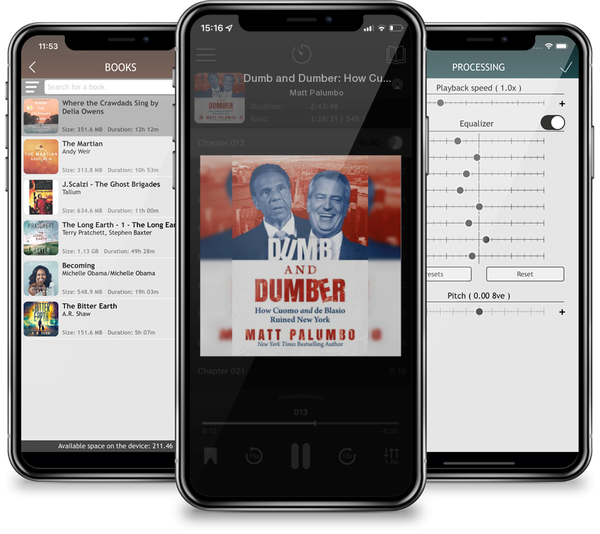 Audiobook Dumb and Dumber: How Cuomo and de Blasio Ruined New York by Matt Palumbo