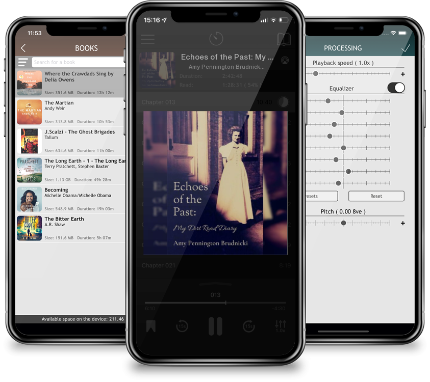 Audiobook Echoes of the Past: My Dirt Road Diary by Amy Pennington Brudnicki