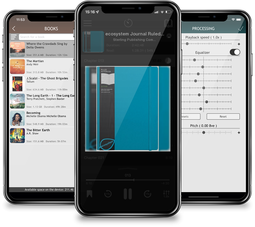 Audiobook ecosystem Journal Ruled: Large Lagoon Flexicover by Sterling Publishing Company