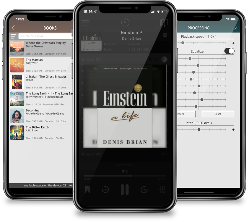 Audiobook Einstein P by Denis Brian