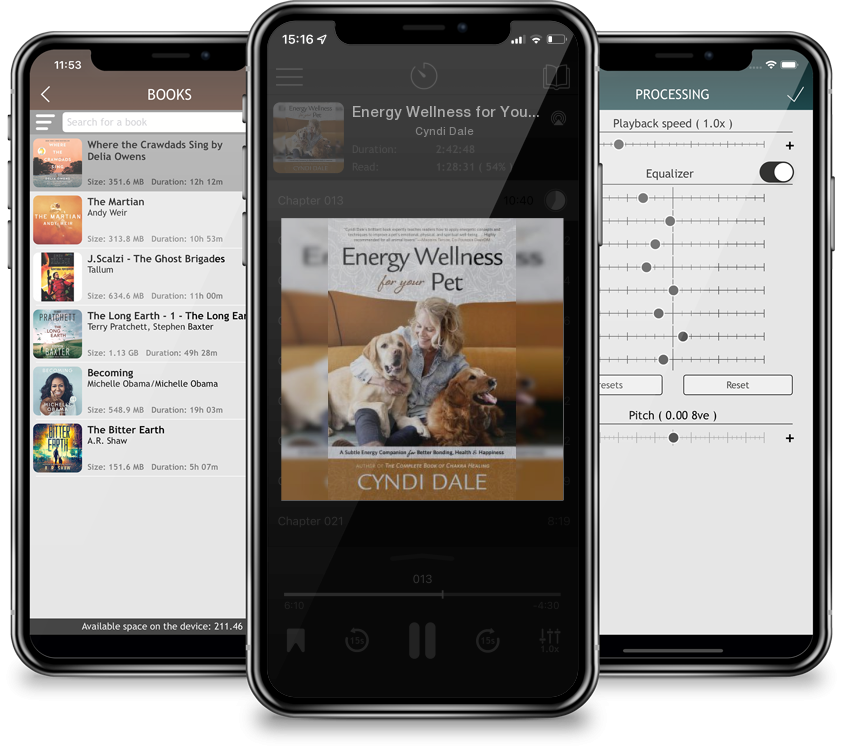 Audiobook Energy Wellness for Your Pet: A Subtle Energy Companion for Better Bonding, Health & Happiness by Cyndi Dale