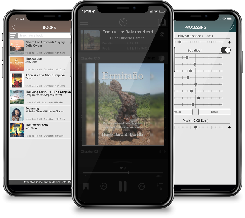 Audiobook Ermitaño: Relatos desde el bosque nativo de la cordillera pehuenche by Hugo Filiberto Baronti Barella