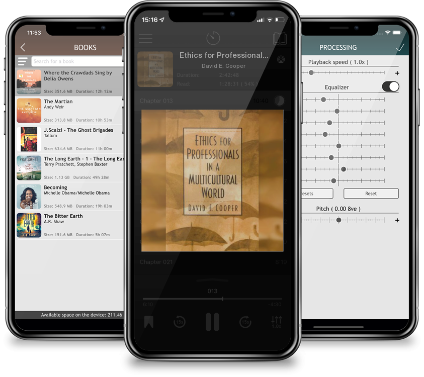 Audiobook Ethics for Professionals in a Multicultural World by David E. Cooper