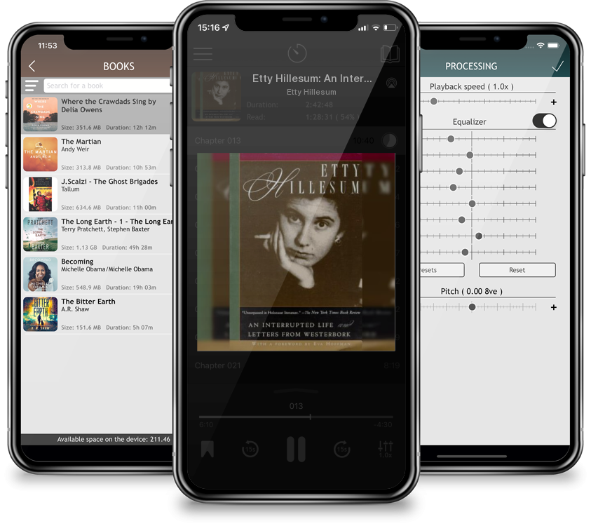Audiobook Etty Hillesum: An Interrupted Life and Letters from Westerbork by Etty Hillesum