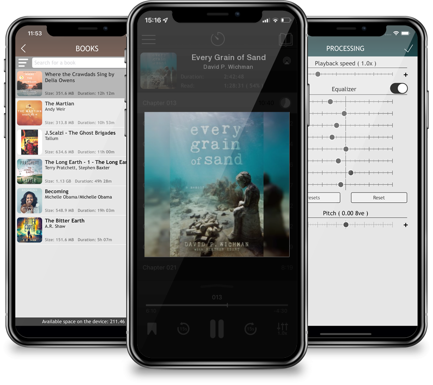 Audiobook Every Grain of Sand by David P. Wichman