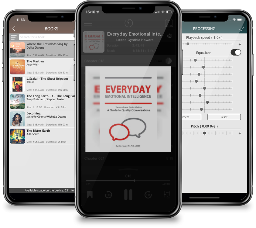 Audiobook Everyday Emotional Intelligence by Lssbb Cynthia Howard