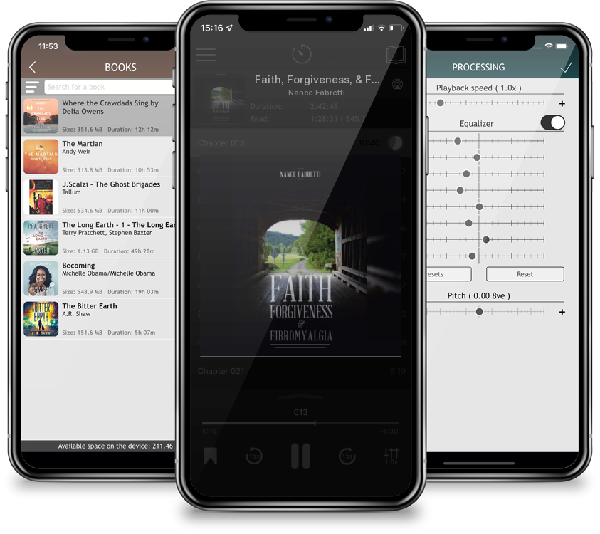 Audiobook Faith, Forgiveness, & Fibromyalgia by Nance Fabretti