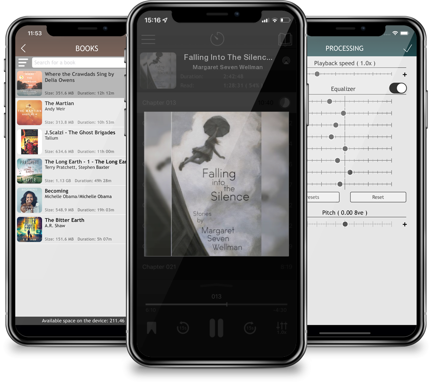 Audiobook Falling Into The Silence by Margaret Seven Wellman