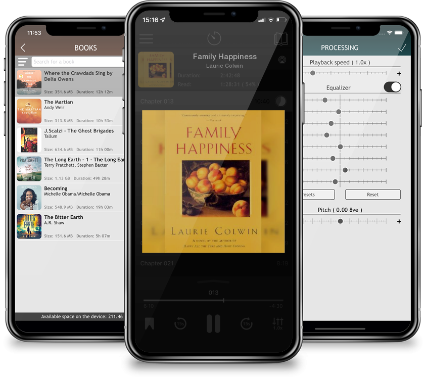 Audiobook Family Happiness by Laurie Colwin