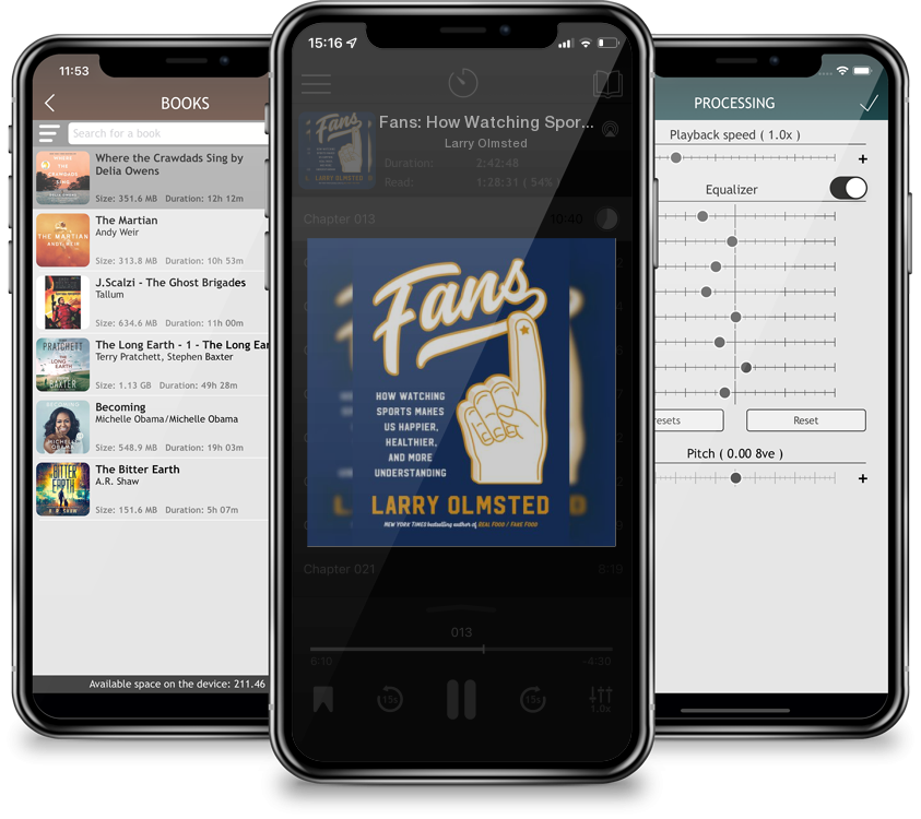 Audiobook Fans: How Watching Sports Makes Us Happier, Healthier, and More Understanding by Larry Olmsted
