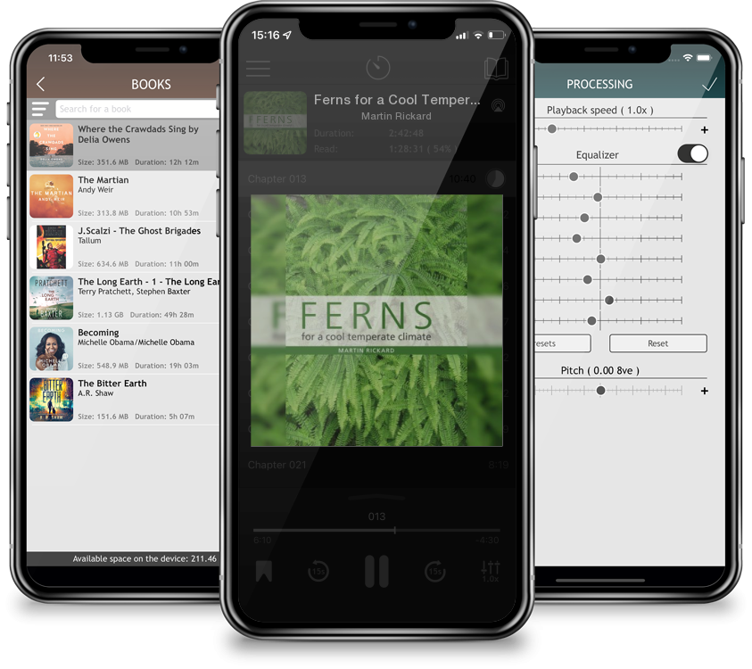 Audiobook Ferns for a Cool Temperate Climate by Martin Rickard