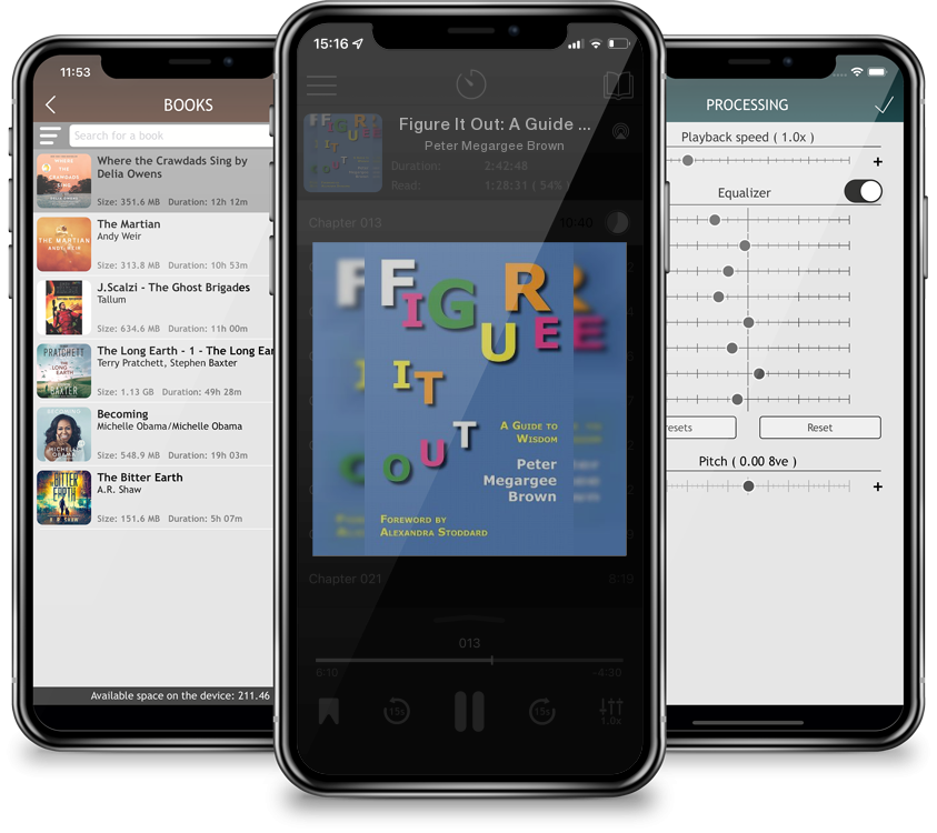 Audiobook Figure It Out: A Guide to Wisdom by Peter Megargee Brown