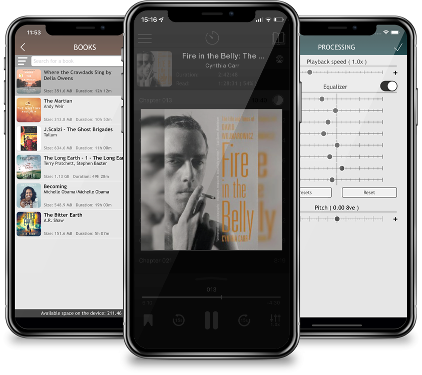 Audiobook Fire in the Belly: The Life and Times of David Wojnarowicz by Cynthia Carr