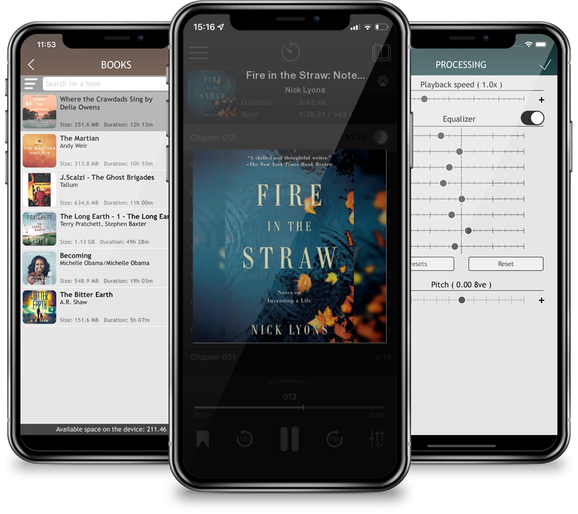 Audiobook Fire in the Straw: Notes on Inventing a Life by Nick Lyons
