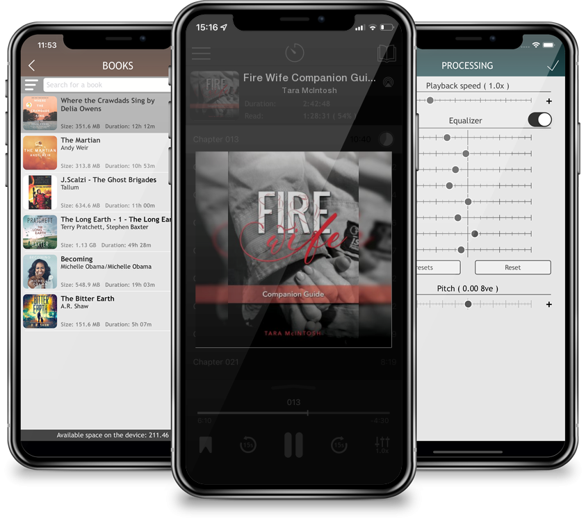 Audiobook Fire Wife Companion Guide by Tara McIntosh