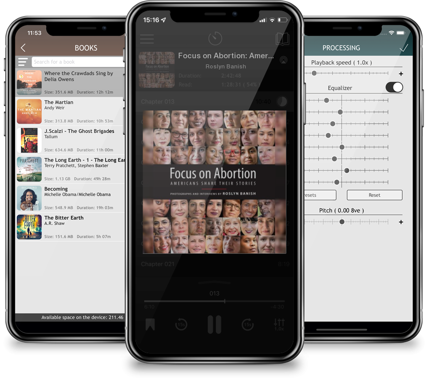 Audiobook Focus on Abortion: Americans Share Their Stories by Roslyn Banish