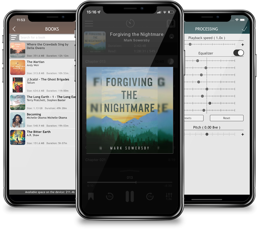 Audiobook Forgiving the Nightmare by Mark Sowersby