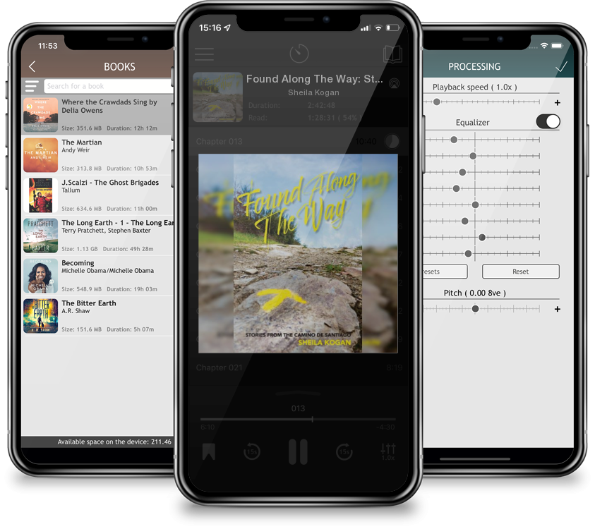 Audiobook Found Along The Way: Stories from the Camino de Santiago by Sheila Kogan
