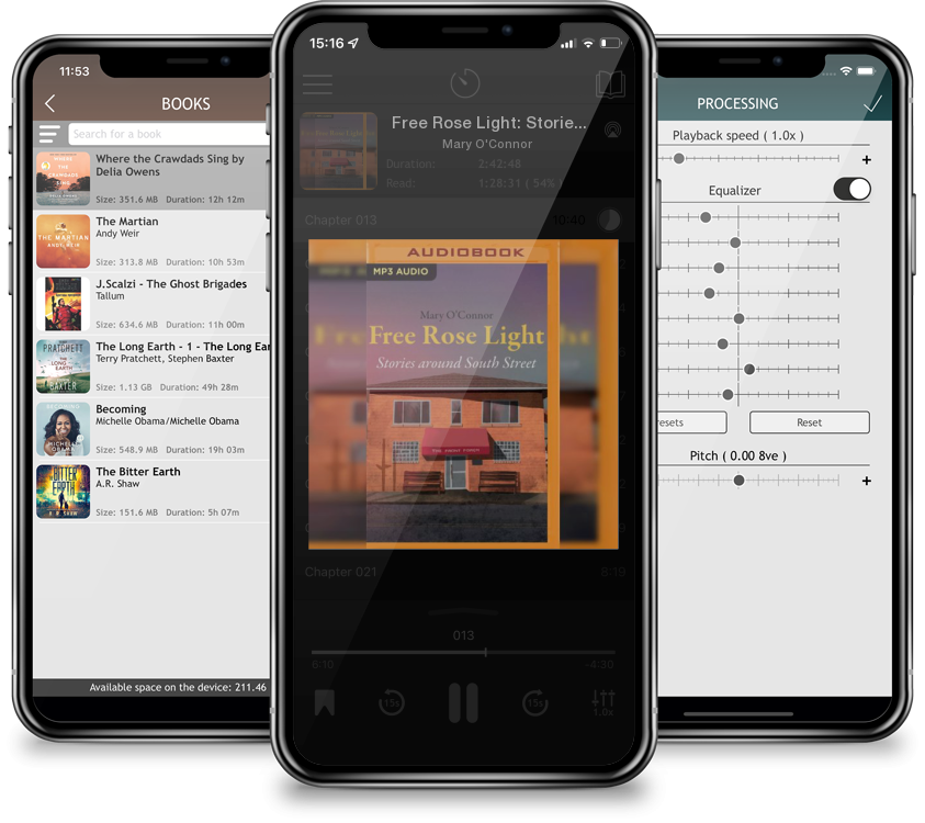 Audiobook Free Rose Light: Stories Around South Street (MP3 CD) by Mary O'Connor