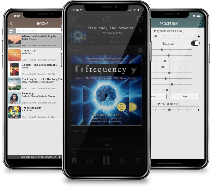 Audiobook Frequency: The Power of Personal Vibration by Penney Peirce