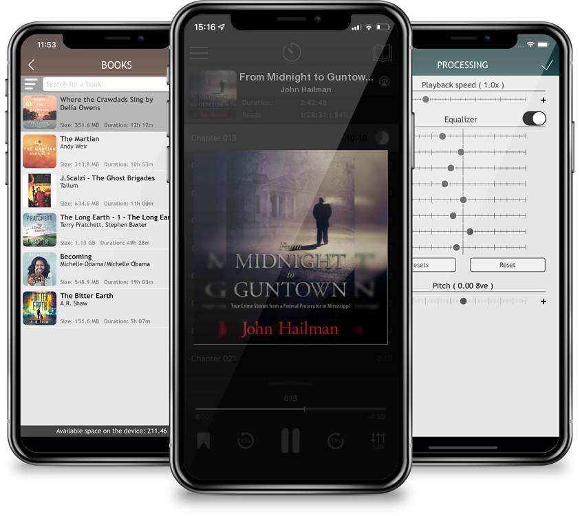 Audiobook From Midnight to Guntown: True Crime Stories from a Federal Prosecutor in Mississippi by John Hailman