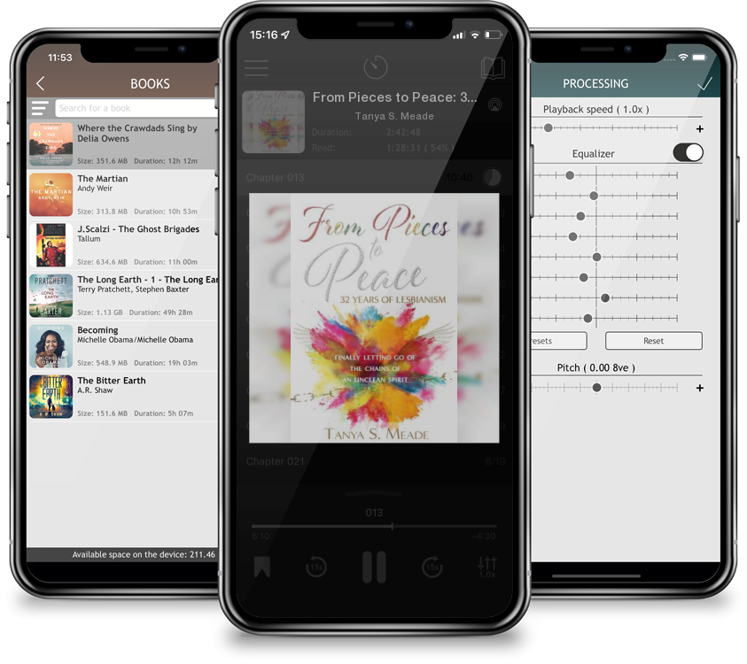 Audiobook From Pieces to Peace: 32 Years of Lesbianism: Finally Letting Go of the Chains of an Unclean Spirit by Tanya S. Meade
