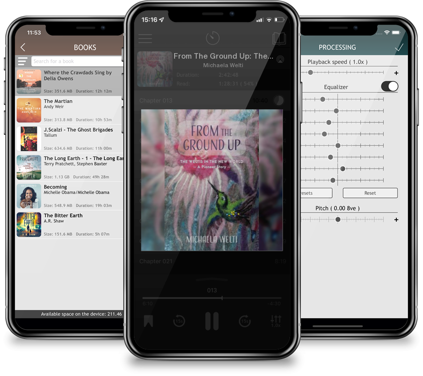Audiobook From The Ground Up: The Weltis In The New World A Pioneer Story by Michaela Welti