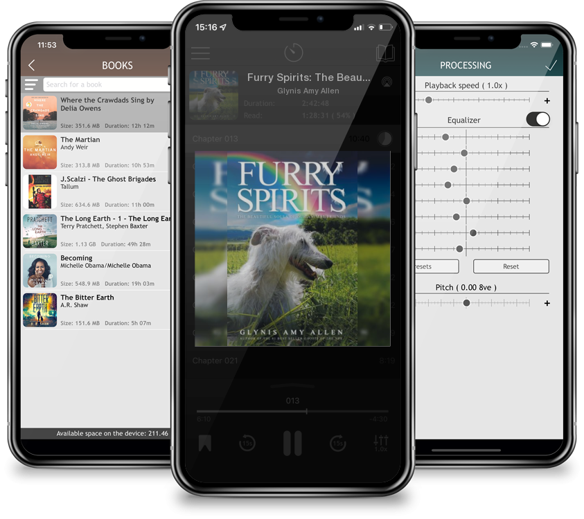 Audiobook Furry Spirits: The Beautiful Souls of Our Animal Friends by Glynis Amy Allen
