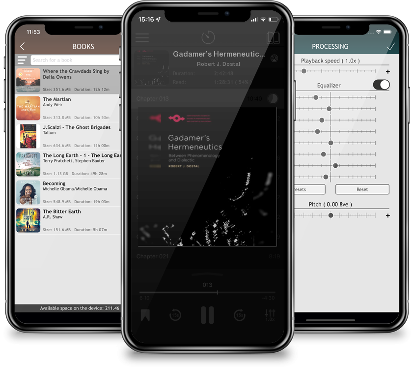 Audiobook Gadamer’s Hermeneutics: Between Phenomenology and Dialectic (Studies in Phenomenology and Existential Philosophy) by Robert J. Dostal