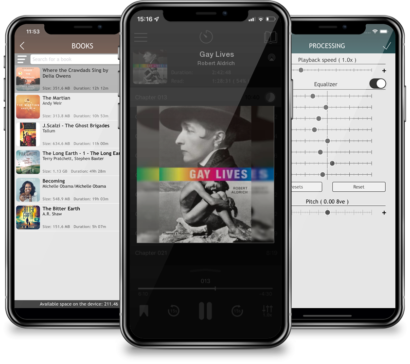 Audiobook Gay Lives by Robert Aldrich