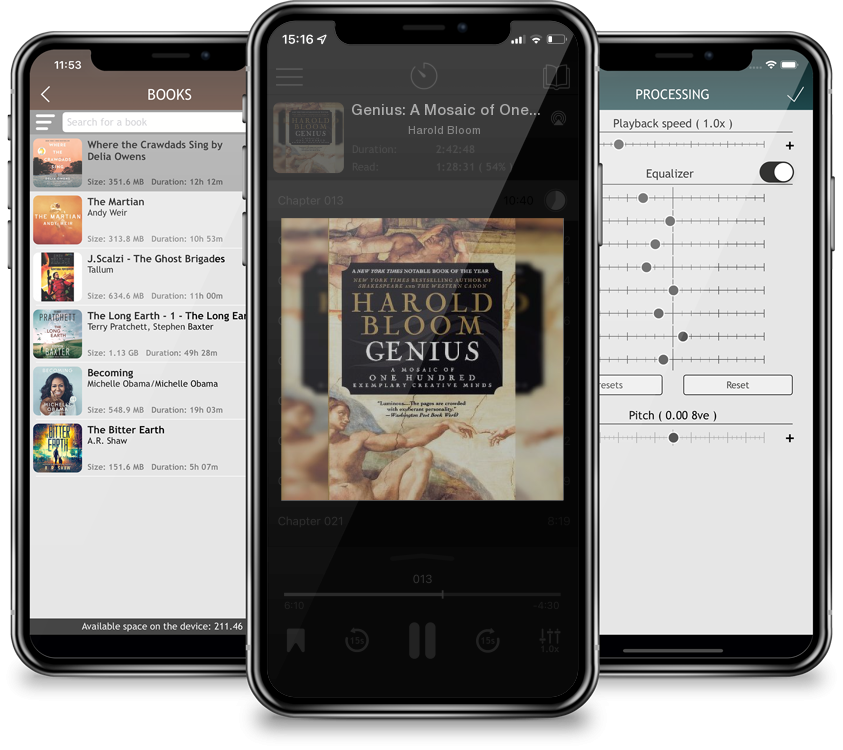 Audiobook Genius: A Mosaic of One Hundred Exemplary Creative Minds by Harold Bloom
