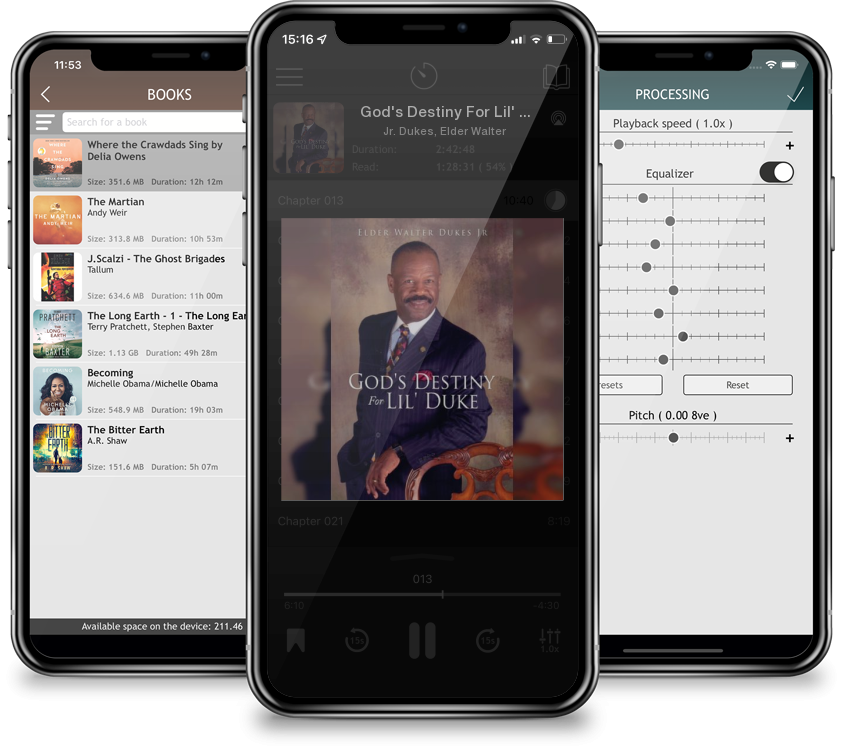 Audiobook God\'s Destiny For Lil\' Duke by Jr. Dukes, Elder Walter