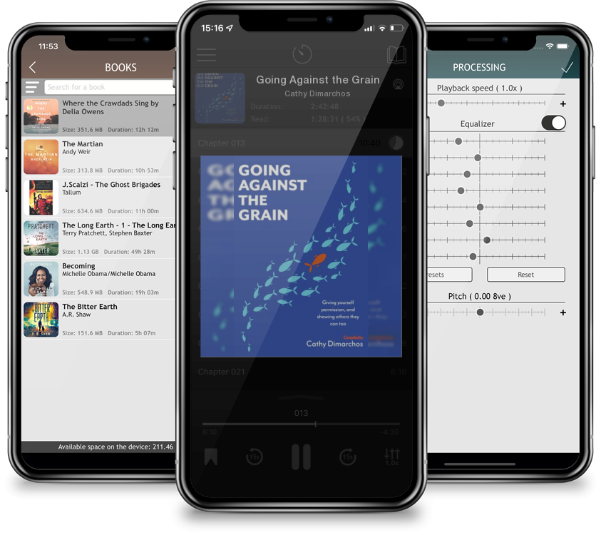 Audiobook Going Against the Grain by Cathy Dimarchos