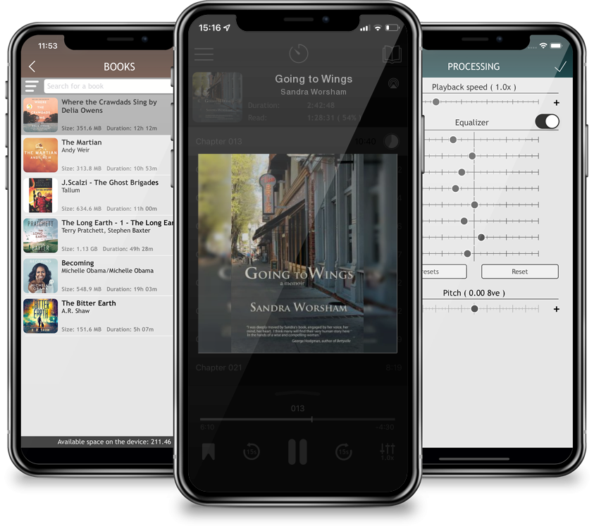 Audiobook Going to Wings by Sandra Worsham