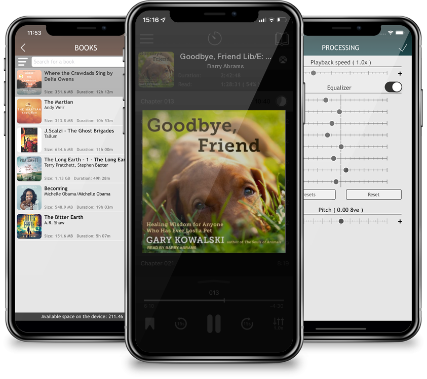 Audiobook Goodbye, Friend Lib/E: Healing Wisdom for Anyone Who Has Ever Lost a Pet (Compact Disc) by Barry Abrams