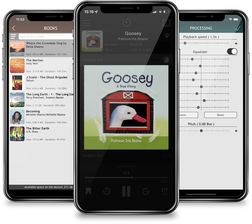 Audiobook Goosey by Patricia Iris Blaine