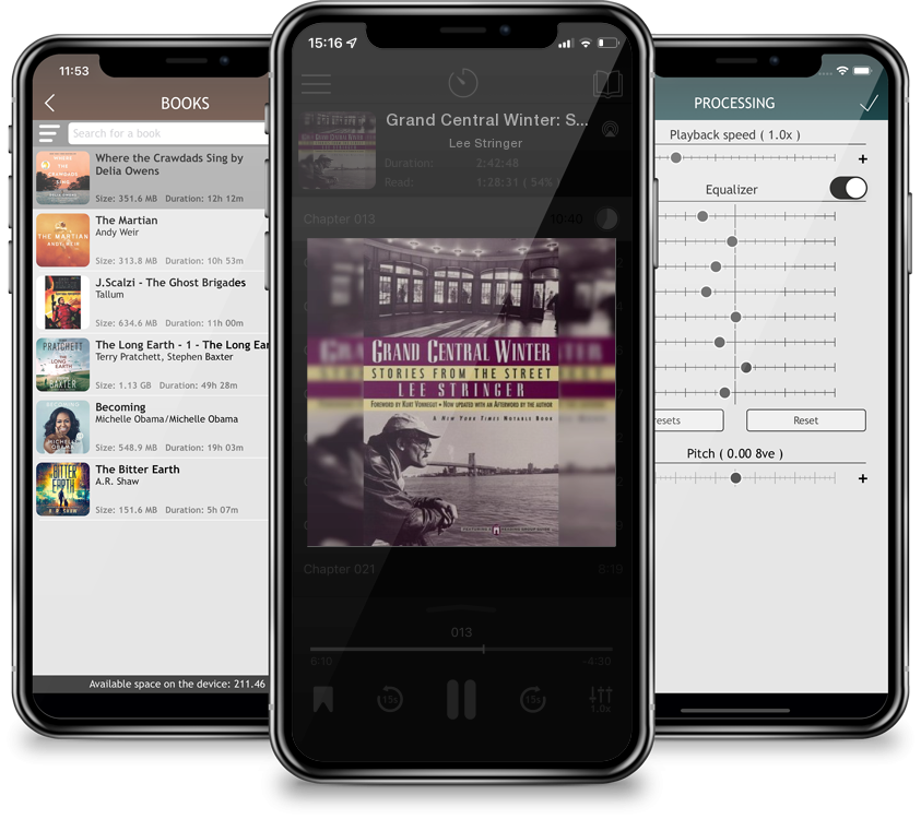 Audiobook Grand Central Winter: Stories from the Street by Lee Stringer