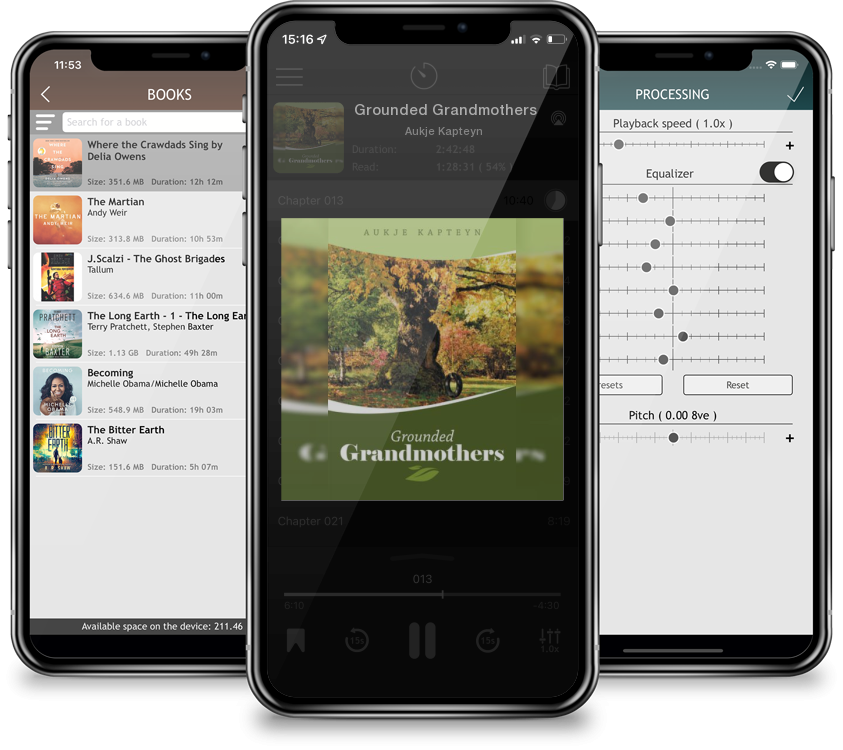 Audiobook Grounded Grandmothers by Aukje Kapteyn