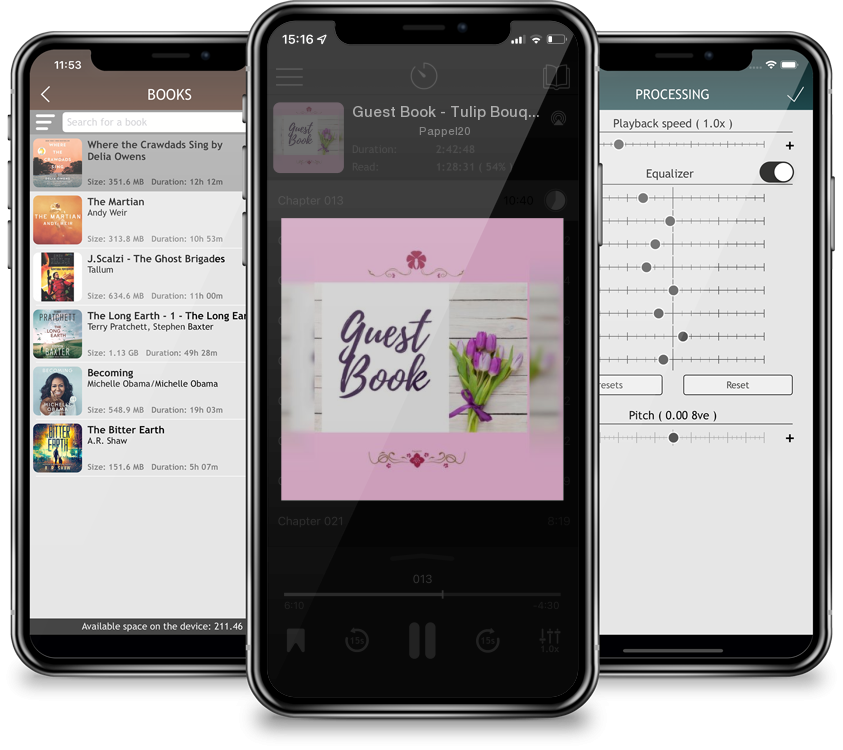 Audiobook Guest Book - Tulip Bouquet by Pappel20