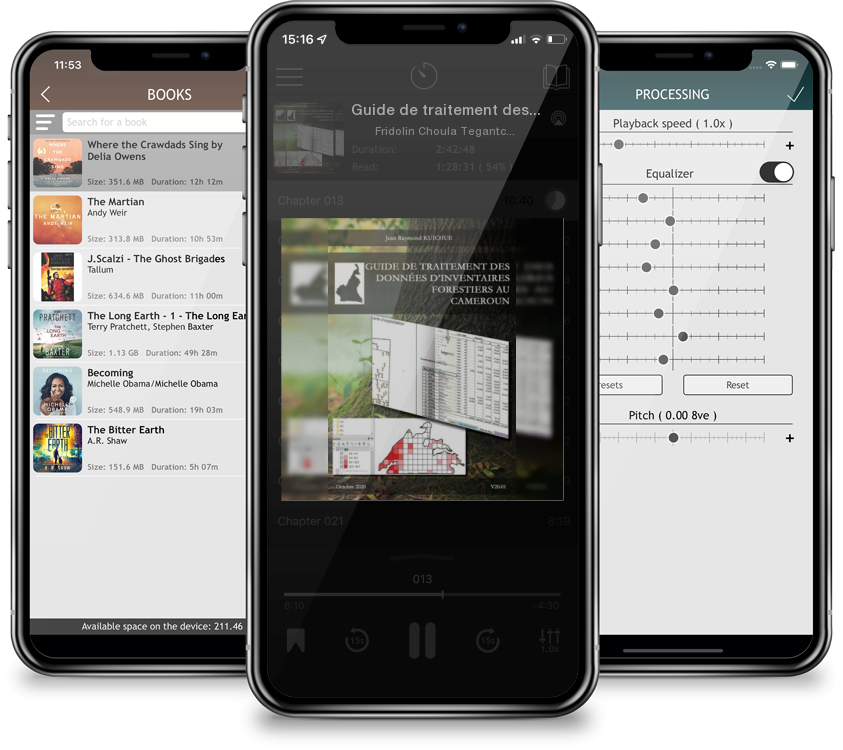 Audiobook Guide de traitement des données d\'inventaires forestiers au Cameroun by Fridolin Choula Tegantchouang