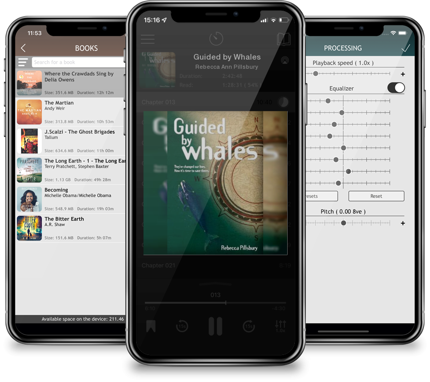 Audiobook Guided by Whales by Rebecca Ann Pillsbury