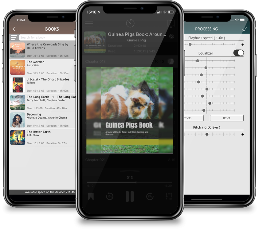 Audiobook Guinea Pigs Book: Around attitude, food, nutrition, taming and diseases by Guniea Pig