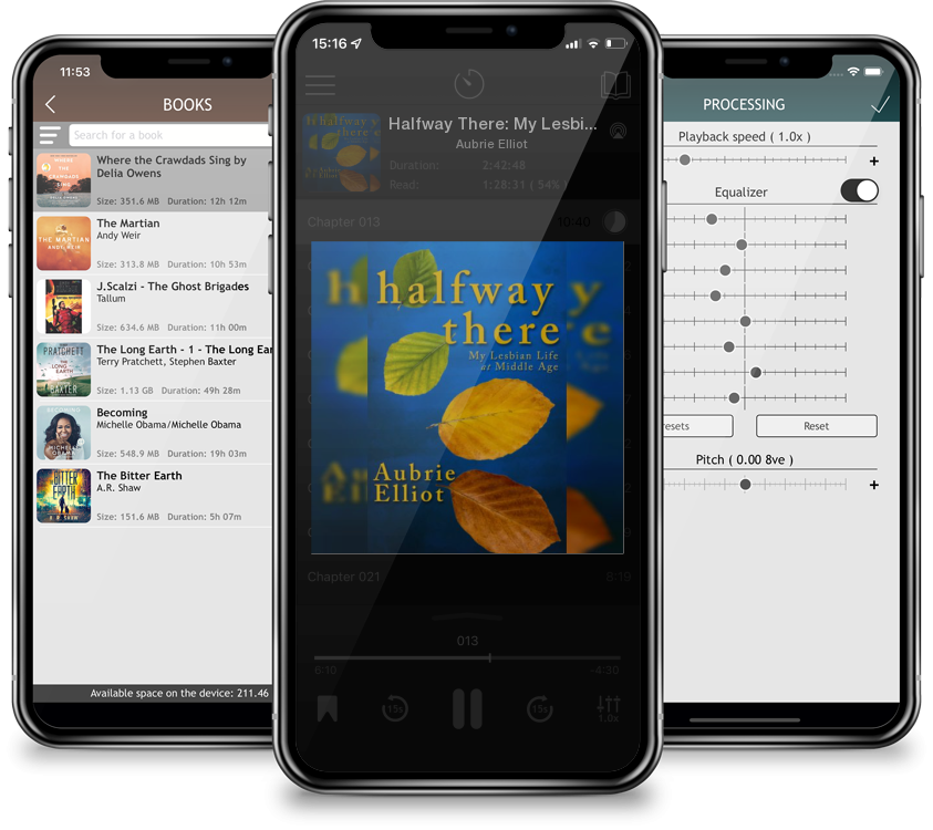 Audiobook Halfway There: My Lesbian Life at Middle Age by Aubrie Elliot