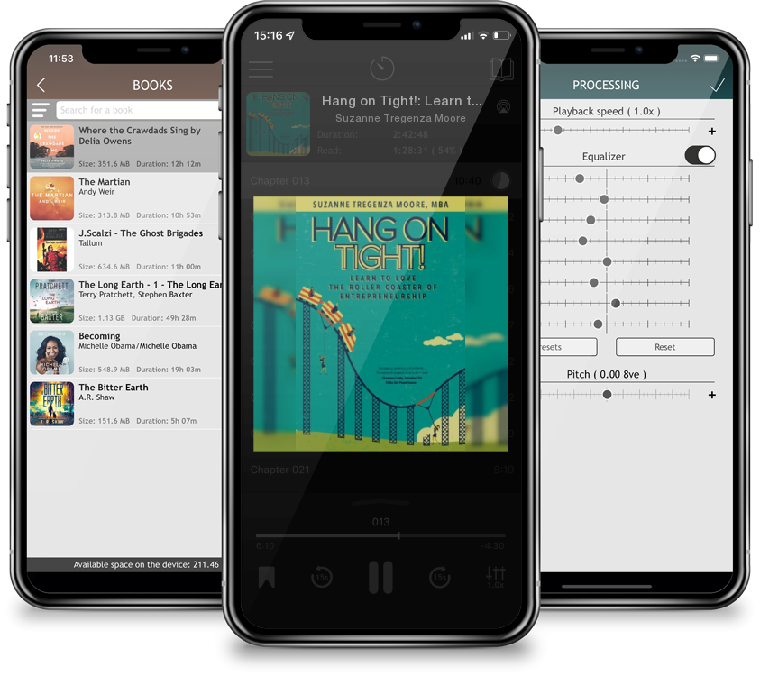 Audiobook Hang on Tight!: Learn to Love the Roller Coaster of Entrepreneurship by Suzanne Tregenza Moore