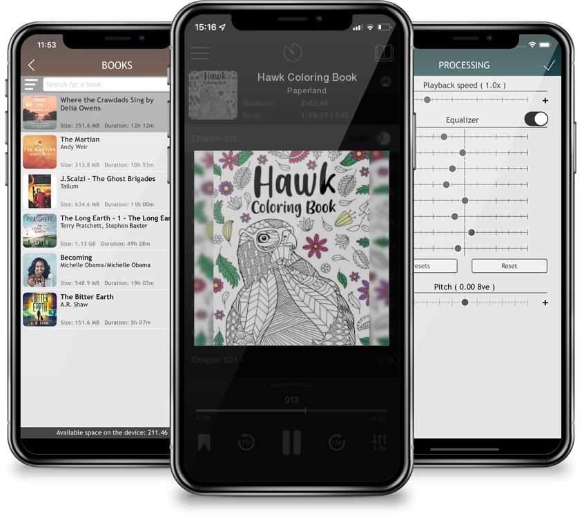 Audiobook Hawk Coloring Book by Paperland