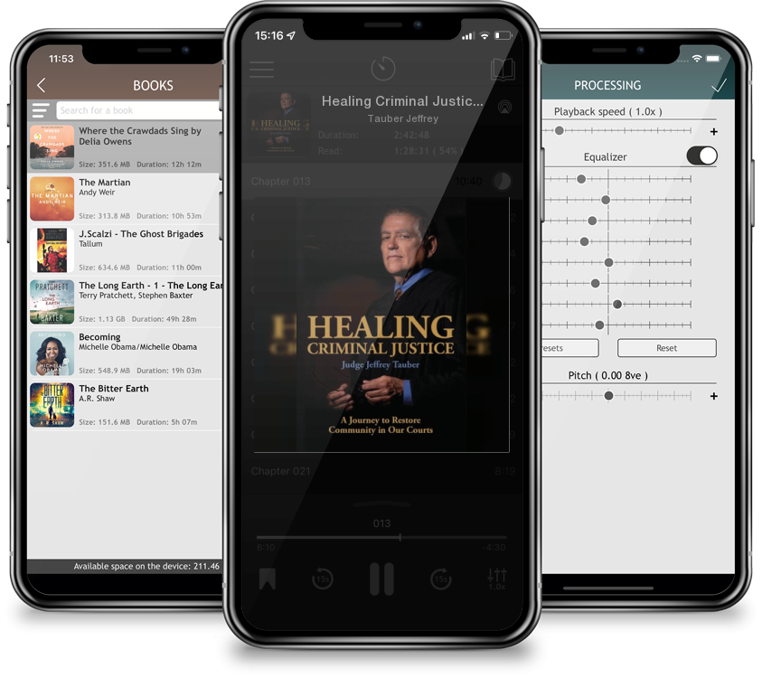 Listen Healing Criminal Justice: A Journey to Restore Community in Our Courts by Tauber Jeffrey in MP3 Audiobook Player for free