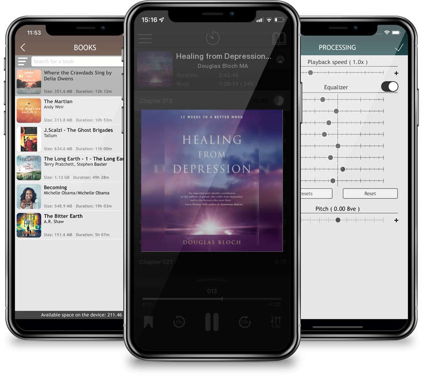 Audiobook Healing from Depression: 12 Weeks to a Better Mood by Douglas Bloch MA