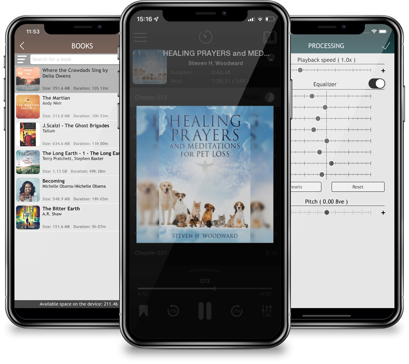 Audiobook HEALING PRAYERS and MEDITATIONS for PET LOSS by Steven H. Woodward