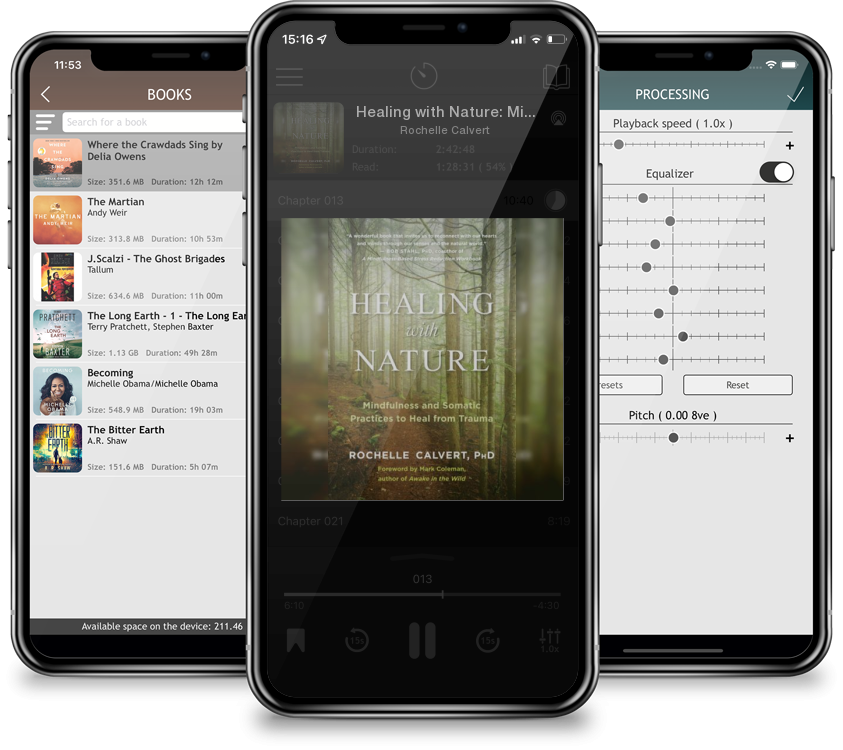Audiobook Healing with Nature: Mindfulness and Somatic Practices to Heal from Trauma by Rochelle Calvert